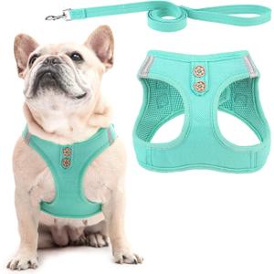 PUPTECK Dog Harness and Leash Set for Small Medium Dogs No Pull Step-in Soft Mesh Puppy Cat Vest Harnesses Reflective at Night, Denim Green M (M(CHEST 16"-18", 11-18 lbs), #2 Turquoise(Denim))