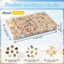 25 Types Small Sea Shells for Crafts, 1800 Pcs Tiny Seashells with Mixed Size Starfish for Crafting Spiral Conch Shells for Crafts Charms for Home Decorations Candle Decor DIY and Beach Vase Filler