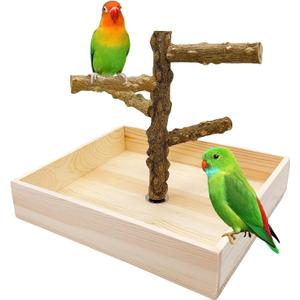Hamiledyi Bird Perch Stand Playground Parrot Playground Tabletop Natural Wooden Perch PlayStand Platform Toys for Parrots Parakeets Lovebirds Canaries Cockatiels Conure