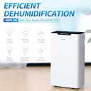 AIRPLUS 1600 Sq. Ft Dehumidifier for Basement, 30 Pints Powerful Dehumidifier for Home, Large Rooms, Bedrooms, Sufficient Capacity Water Tank with Drain Hose (AP2011N)