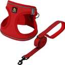 BELLA & PAL Step in Vest Harness for Small and Medium Dogs, No Pull Small Dog Harness with Leash Set, Comfortable Air Mesh Dog Vest Harness with Reflective Strip (Red, L)