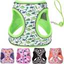 XXS Dog Harness and Leash Set, Step in Dog Harness No Pull for Walking Running Training, Puppy Essentials for Dogs Cat Bunny, Adjustable Reflective Dog Vest Harness. (Green, XXS)