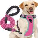 No Pull Dog Harness Adjustable Reflective Oxford Easy Control Medium Large Dog Harness with A Free Heavy Duty 5ft Dog Leash (Small, Pink/Blue Harness+Leash)