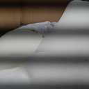 Tempur-Cloud 2-Inch Mattress Topper, King,White