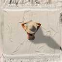 Oversized Turkish Beach Towel Blanket XXL Cotton Sandproof Towels Boho Woven Extra Large Big Sand Free Giant Throw Blankets Huge Quilt XL Picnic Camping Necessities Cloud For Adult Gifts Beige (XXXL(88x82 IN,224x208 CM))