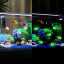 50PCS Luminous Turtle Figurines - Glow in The Dark Resin Animals with 10 Colors for Fairy Garden & Dollhouse Decor - Mini Craft Supplies Micro Landscape Ornaments