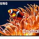 Samsung 65-Inch Class 4K Crystal UHD DU8000 Series HDR Smart TV w/Object Tracking Sound Lite, Motion Xcelerator, Ultra Slim Design, Gaming Hub, Alexa Built-in (UN65DU8000, 2024 Model)