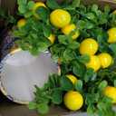 Qunclay Lemon Mini Crate Summer Tiered Tray Decor with 8 Faux Lemons with Wood Bead Tassel Farmhouse Lemonade Kitchen Decorations Summertime Wood Crate for Party Decor