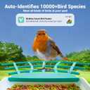 Birdkiss Smart Bird Feeder Camera with Solar Panel - AI Identifies Bird Species, Auto Captures Videos & App Notifications, Includes 32GB SD Card