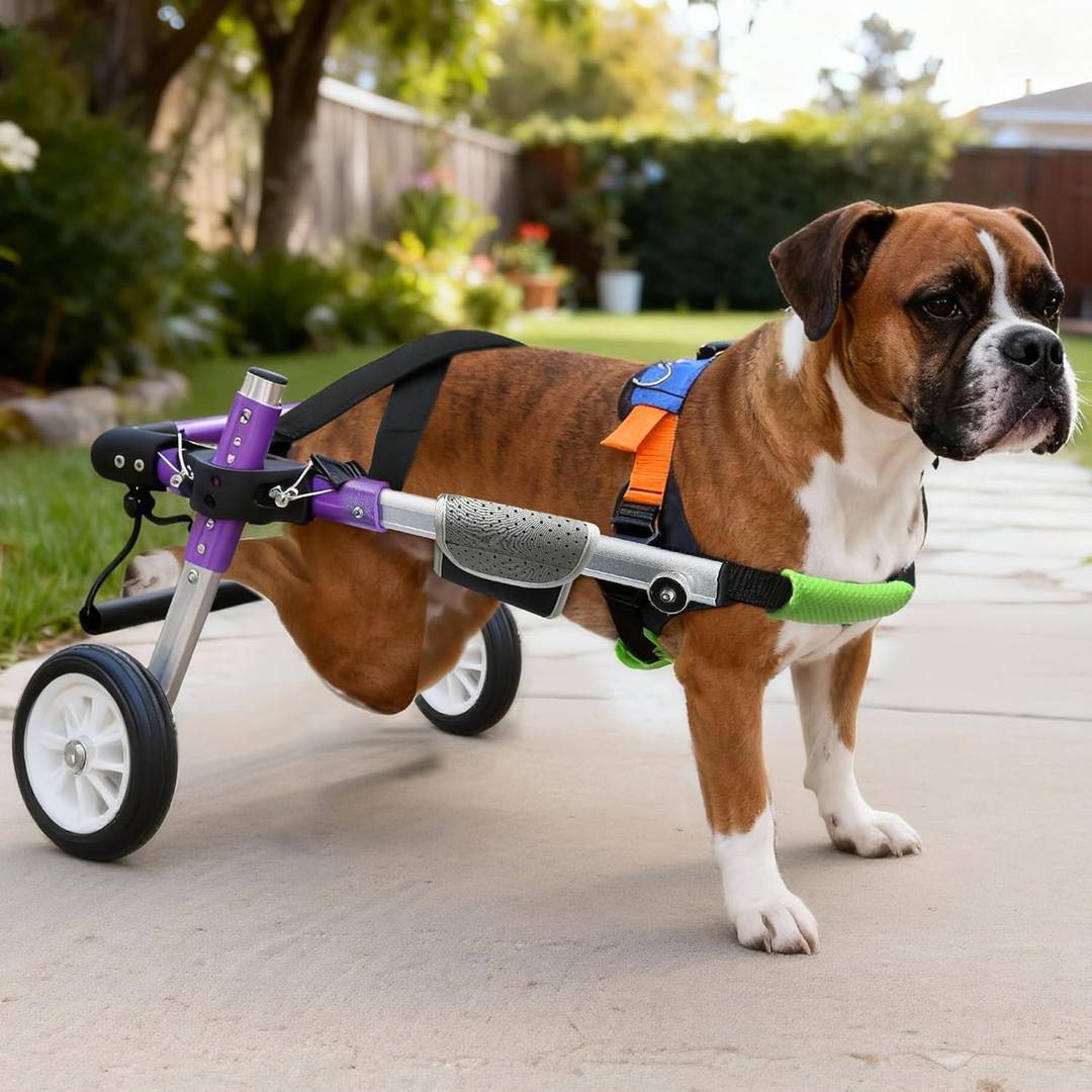 Dog Support Wheelchair for Back Legs Adjustable Dog Mobility Cart for Hind Legs Support Cart for Injured or Paralyzed Dogs (10.8-17.1")