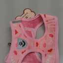 PUPTECK Adjustable Dog Harness Collar and Leash Set Step in No Pull Pet Harness for Dogs Puppy and Cats Outdoor Walking Running, Soft Mesh Padded Reflective Vest Pink Red Heart Harnesses Medium