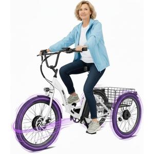 ANCHEER Electric Tricycle for Adults, Peak 600W Folding Electric Trike, 24" 499Wh Ebike for Seniors, 15.5MPH Electric Bike, Removable Battery, 3 Wheel, LCD, Rear Differential, Basket