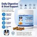 GlandCare Plus Anal Gland Chews for Dogs - Pumpkin Seed, Psyllium Husk & Probiotics - Peanut Butter Flavor - Relieves Scooting & Odor - Digestive Health & Stool Support Supplement - 60 Count