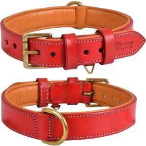 Genuine Leather Dog Collar | Full Grain, Heavy Duty, Comfortable, Padded, Strong | Best for Pups (Large (Fit Neck Size 18.5"-22.5"), Red)