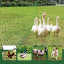 1 Pack Premium Portable Pre-Assembled Poultry Netting Electric Fence 47.3" x 98.5', Green,Utility Portable Mesh for Chickens, Ducks,Geese,Rabbits,Used in Backyards,Farms,and Ranches