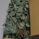 VGIA 12 Pcs 27" Eucalyptus Stems Greenery Stems Eucalyptus Leaf Spray in Green Silk Plastic Plants Floral Artificial Plants for Home Party Wedding Decoration