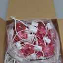 50Ft Valentine's Day Outdoor String Lights, G40 Valentines Day Decorations Lights with 27 LED Pink Shatterproof Bulbs(2 Spare), Hanging Globe Patio Lights for Outside Party Wedding Porch Backyard