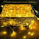 Whimsigoth Star and Moon Decor String Lights, Indoor Bedroom Classroom Dorm Patio Party Wedding Decor, Warm White Plug or Battery (30ft Plug-in)