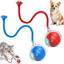 2Pcs Tinyfetch Dog Toy, Interactive Dog Cat Toys Balls with Birdsong, Rechargeable 360 Smart Automatic Rolling Electric Dog Ball Toy with Rope for Pets Indoor & Outdoor Play (Red+Blue)