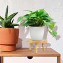 balacoo Solid Wood Plant Stand 5.11 Inch Small Indoor Flower Pot Holder Plant Shelf Rack for Living Room Balcony Desk with Natural Wood Finish