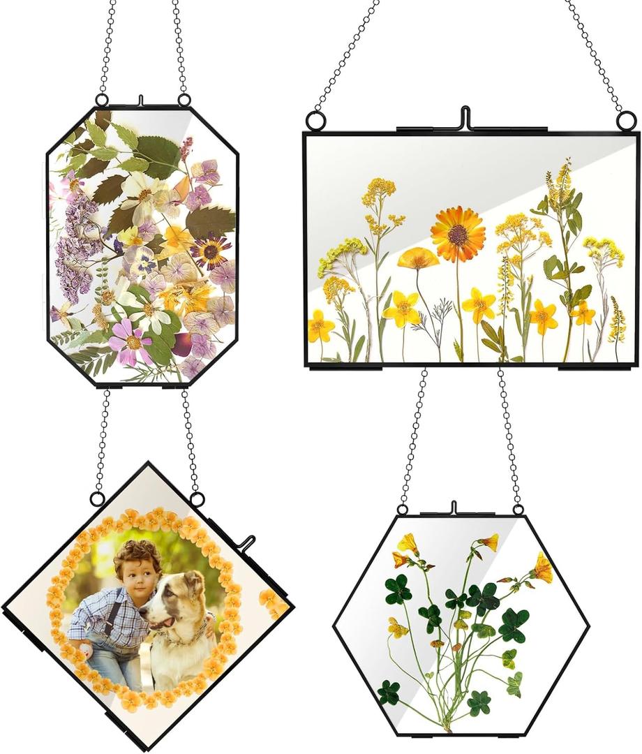 HSDSH 4 Pcs Glass Picture Frame for DIY Pressed Flower, Golden Hanging Photo Frame Clear Glass Artwork Display Frame with Chain for Dried Plant Gallery Wall Decor DIY Home Wall Art (Black)