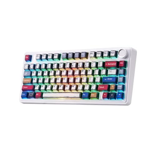 Aula F75 Wireless Mechanical Keyboard,Creamy Keyboard with RGB Backlit Hot Swappable, 81 Keys 75% Layout Gaming Keyboard, Bluetooth/2.4GHz/Type-C, Creamy Sounding - Reaper Switches