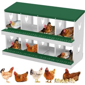 Nesting Boxes for Chickens, 8 Compartment Chicken Nesting Box, Metal Chicken Laying Boxes with Perch, Secure Lid, Versatile Wall Mount or Free Standing for Hens, Green
