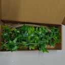 QUOZUO Reptile Tank Accessories, Artificial Plants Vines and Flexible Leaves With Suction Cups, Crested Gecko Tank Long Vines Hide for Climbing, Chameleon, Lizards