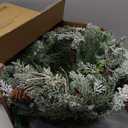 Pre-lit Christmas Wreath for Front Door, Snow Branches, 22 Inch Battery Operated 50 LED Lights, Decorations for Indoor & Outdoor Green