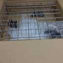 Upgraded W10311986 W10380384 Dishwasher Rack, W11158802 Dishwasher Lower Dishrack with 4 Lower level rack wheels, replacement for Whirlpool Dishwasher, 20.5" x 20.5" x 5.9" Material Upgrade