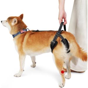 ROZKITCH Pet Dog Support Harness Rear Lifting Harness for Back Legs Reflective Dog Sling Vet Approved for Old Helps with Poor Stability Hind Legs, Joint Injuries Elderly Arthritis ACL Rehab Black M (M(Leg Girth: 17.3-22"))