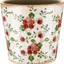 Farmhouse Ceramic Planter 5.5 Inch Large Plants Pot Crack Beige Red Rose Flowers Plant Pots with Drainage Hole Indoor Plants Kitchen Rustic Antique Decor Gift