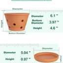 vensovo Terracotta Orchid Pots with Holes and Saucers - Clay Orchid Planter Pots for Repotting, Plant Flower Pots for Orchid Indoor and Outdoor Promotes Air Circulation