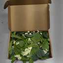 4 PCS Eucalyptus Taper Candle Rings Wreaths 1.38" Mini Spring Summer Floral Taper Candle Holder Wreaths Green Artificial Flower Table Centerpieces Wreath for Church Farmhouse Home Candlesticks Decor