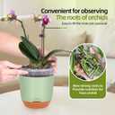 QCQHDU 2 Pack 5.7 Inch Orchid Pots with Holes for Repotting, Double-Layer and Self Watering Orchid Pot with Good Air Circulation