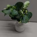 Dahey Artificial Eucalyptus Stems in Small Ceramic Vase Centerpiece Table Decorations Modern Farmhouse Decor Fake Eucalyptus Plants with Vase for Bathroom Kitchen Shelf Living Room Home Decor, White