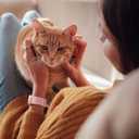 6 x Wepro Stretchy Solo Loop, Compatible with Apple Watch Band 38mm 40mm 41mm 42mm 44mm 45mm 46mm 49mm for Women Men, Soft Nylon Elastic Breathable Strap for iWatch Series SE 10 9 8 7 6 5 4 3 2 1 Ultra (Light Pink)