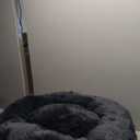 Dog Calming Beds for Medium Large Dogs - Round Donut Washable Puppy Dog Bed, Anti-Slip Faux Fur Fluffy Donut Cuddle Anxiety Cat Pet Bed(36" Dark Grey)