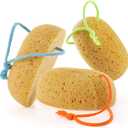 Sponges Shower, 3Pcs Soft Bath Sponges for Women Men, Wash Sponges for Body Face Multipack, Dense Foam for Gentle & Deep Cleansing, Ultra-Soft for Sensitive Dry Skin (Assorted Color Loops)