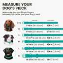 BronzeDog Rolled Leather Dog Collar with QR ID Tag, Adjustable Soft Round Collars for Small Medium Large Dogs Puppy (11" - 14 1/2" Neck Size, Turquoise)