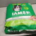 IAMS Proactive Health Adult Minichunks Premium Dry Dog Food, Adult Dog Food Dry Recipe, 30 lb. Bag (EXP 12/31/25)