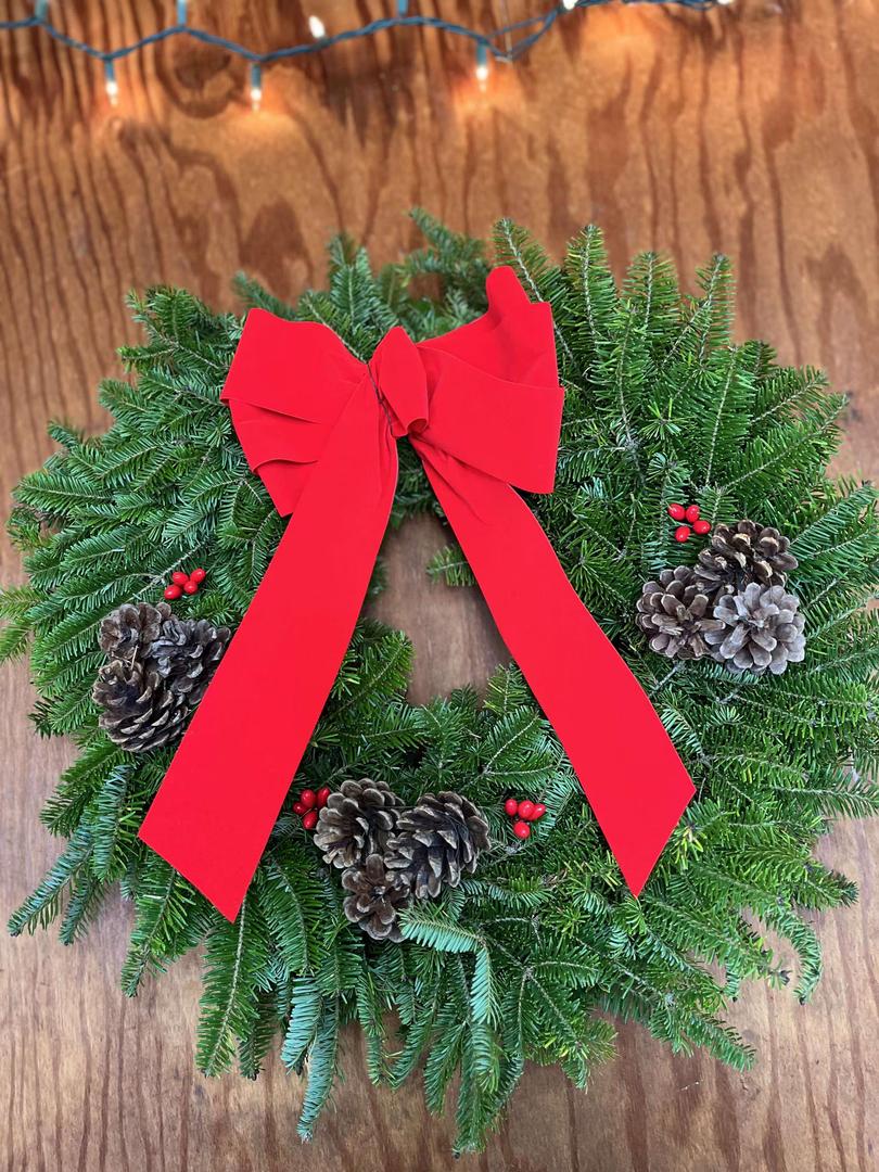 Outdoor Christmas Wreath for Front Door, Christmas Wreaths 20in Indoor Christmas Wreath, PVC Tips, Bow Ribbon, Christmas Door Banner