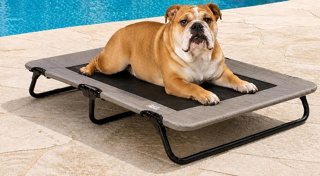 Pet Gear Lifestyle Pet Cot Elevated Bed, 40 Inch, Wheat | No Assembly Required, Premium Tear Resistant Cooling Mesh, Indoor & Outdoor, Lightweight & Portable