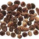 15 PCS Rustic Pine Cone Decorations - Large, Medium and Mini Sizes for Table, Tree and Home Decor