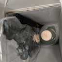 COCORRÍNA Eucalyptus & Wild Mint Reed Diffuser – 6.76 oz Essential Oil with Sticks & Dried Eucalyptus, Home Fragrance for Bedroom or Bathroom Décor