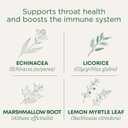 Traditional Medicinals, Organic Throat Coat Lemon Echinacea - Supports Throat Health - Kosher, Non-GMO, Caffeine-Free, Compostable, 16 ct, 01/2029