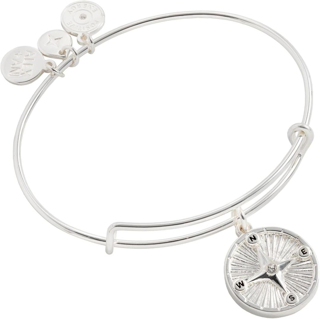 Alex and Ani Compass Charm Bangles (Shiny Silver)