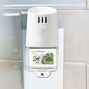 Scent Fill Minty Rosemary Plug-in Air Freshener, 4 Scented Oil Refills