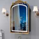 20"x30" LED Bathroom Medicine Cabinet with Mirror and Lights, Bronze Hand-Painted Baroque Bathroom Storage with Mirror, Recessed / Wall Mounted, Dimmable 3 Color Lighting Anti-fog ( with 1 Organizer)