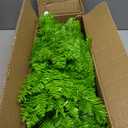 Small Christmas Tree Artificial Tabletop Whimsical Xmas Tree for Outdoor & Indoor Use 2FT (Lime Green)